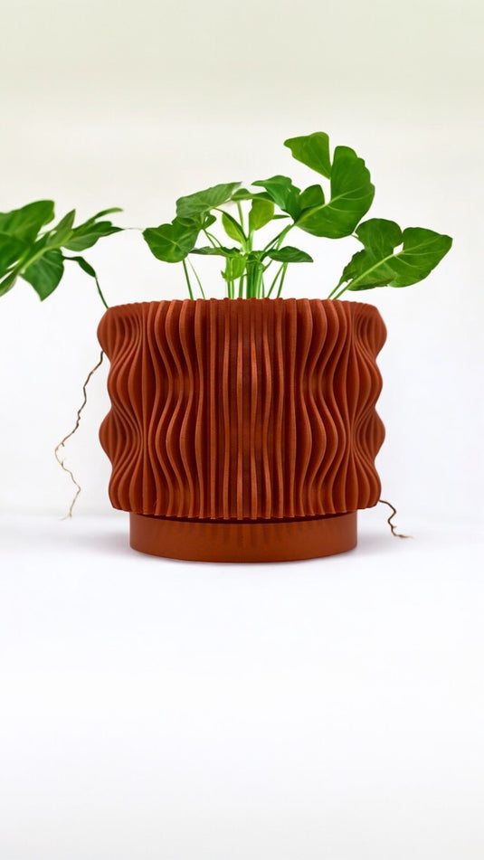 The Muxel Planter Pot with Drainage Tray | Modern and Unique Home Decor for Plants and Succulents