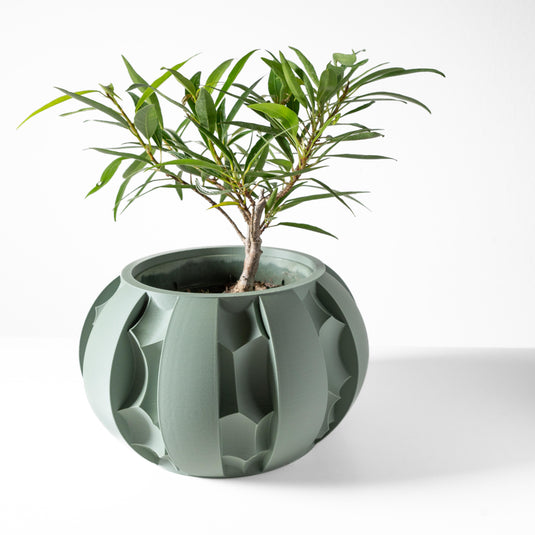 The Erna Planter Pot with Drainage Tray | Modern and Unique Home Decor for Plants and Succulents
