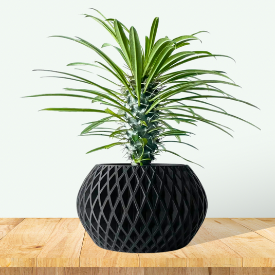 modern indoor planter