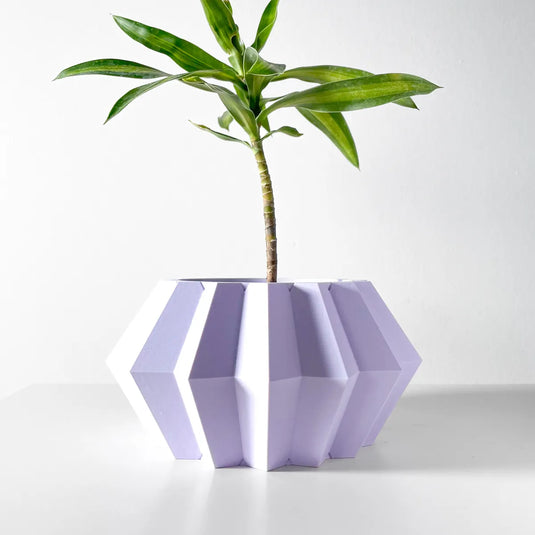 The Jun Planter Pot with Drainage Tray | Modern and Unique Home Decor for Plants and Succulents