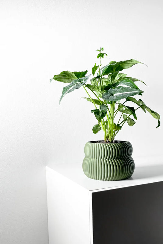 The Quarn Planter Pot with Drainage Tray | Modern and Unique Home Decor for Plants and Succulents
