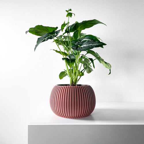 The Surno Planter Pot with Drainage Tray | Modern and Unique Home Decor for Plants and Succulents