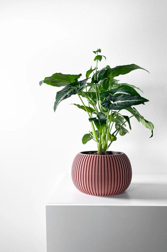 The Surno Planter Pot with Drainage Tray | Modern and Unique Home Decor for Plants and Succulents