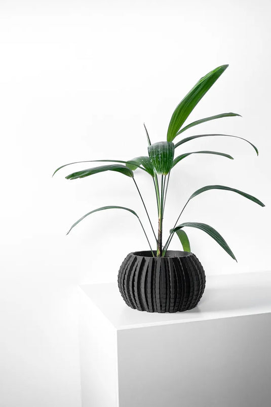 The Uralo Planter Pot with Drainage Tray | Modern and Unique Home Decor for Plants and Succulents