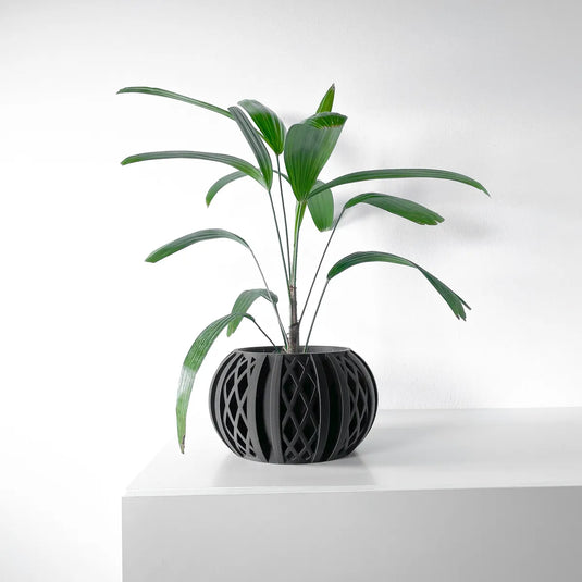 The Pexil Planter Pot with Drainage Tray | Modern and Unique Home Decor for Plants and Succulents