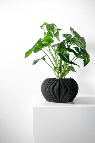The Melfi Planter Pot with Drainage Tray | Modern and Unique Home Decor for Plants and Succulents