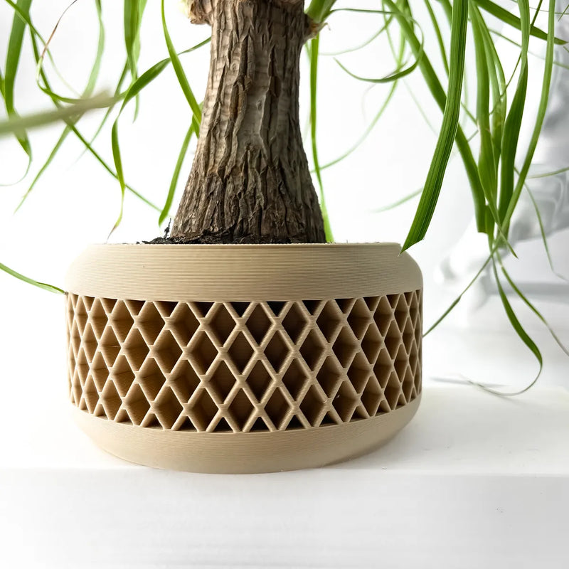 Load image into Gallery viewer, The Uvix Planter Pot with Drainage Tray | Modern and Unique Home Decor for Plants and Succulents
