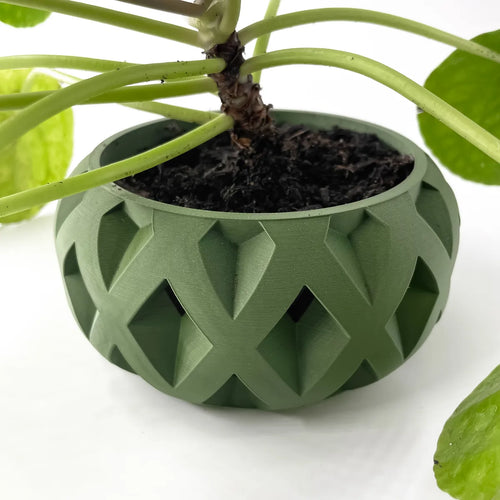 The Welen Planter Pot with Drainage Tray | Modern and Unique Home Decor for Plants and Succulents