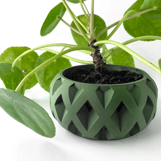 The Welen Planter Pot with Drainage Tray | Modern and Unique Home Decor for Plants and Succulents