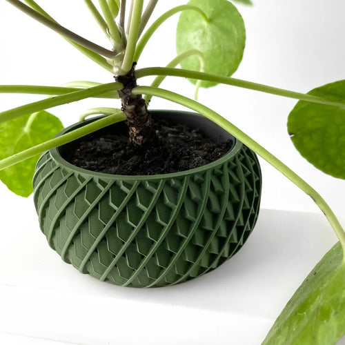 The Evlar Planter Pot with Drainage Tray | Modern and Unique Home Decor for Plants and Succulents