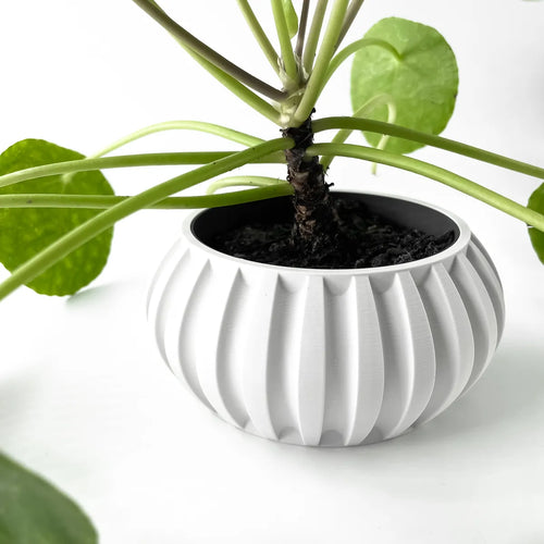 The Alden Planter Pot with Drainage Tray | Modern and Unique Home Decor for Plants and Succulents