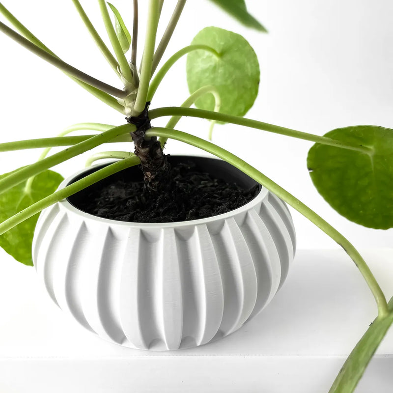 Load image into Gallery viewer, The Alden Planter Pot with Drainage Tray | Modern and Unique Home Decor for Plants and Succulents
