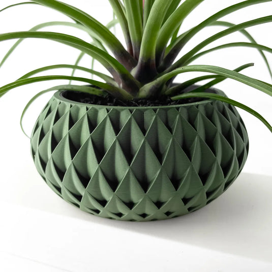 The Cinor Planter Pot with Drainage Tray | Modern and Unique Home Decor for Plants and Succulents