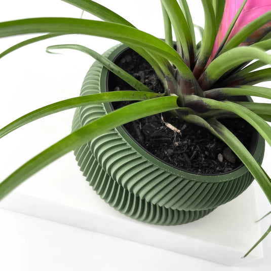 The Avex Planter Pot with Drainage Tray | Modern and Unique Home Decor for Plants and Succulents