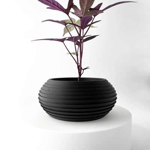 The Frons Planter Pot with Drainage Tray | Modern and Unique Home Decor for Plants and Succulents