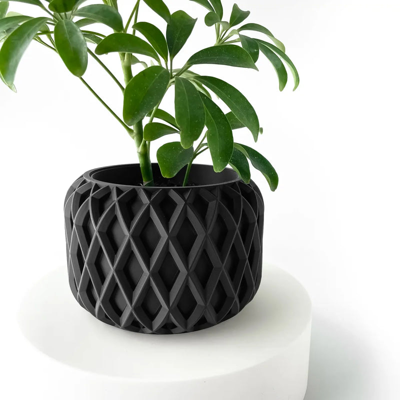 Load image into Gallery viewer, The Kinao Planter Pot with Drainage Tray | Modern and Unique Home Decor for Plants and Succulents

