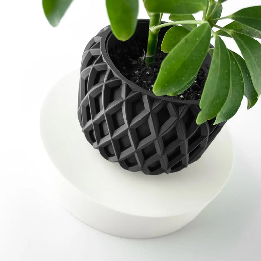 The Kinao Planter Pot with Drainage Tray | Modern and Unique Home Decor for Plants and Succulents