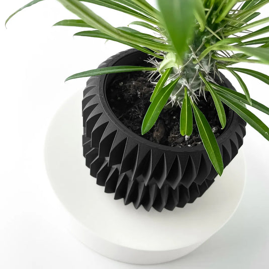 The Pilas Planter Pot with Drainage Tray | Modern and Unique Home Decor for Plants and Succulents