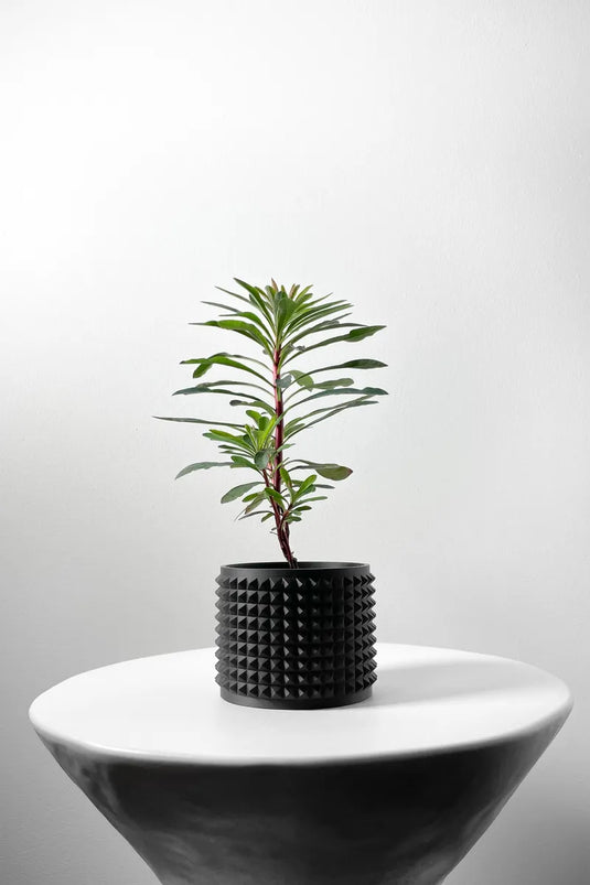 The Anver Planter Pot with Drainage Tray | Modern and Unique Home Decor for Plants and Succulents