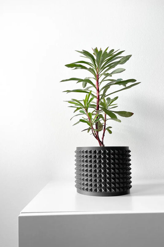 The Anver Planter Pot with Drainage Tray | Modern and Unique Home Decor for Plants and Succulents