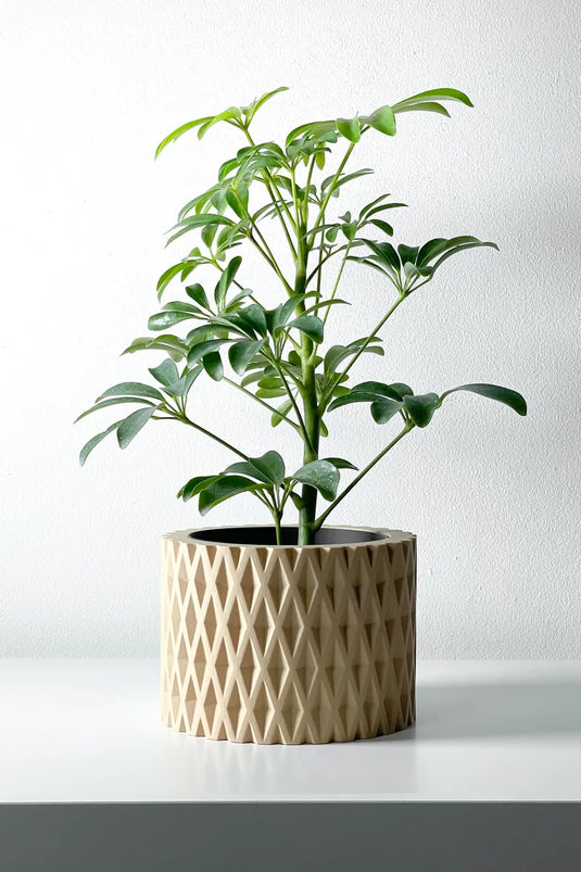 The Grivan Planter Pot with Drainage Tray | Modern and Unique Home Decor for Plants and Succulents