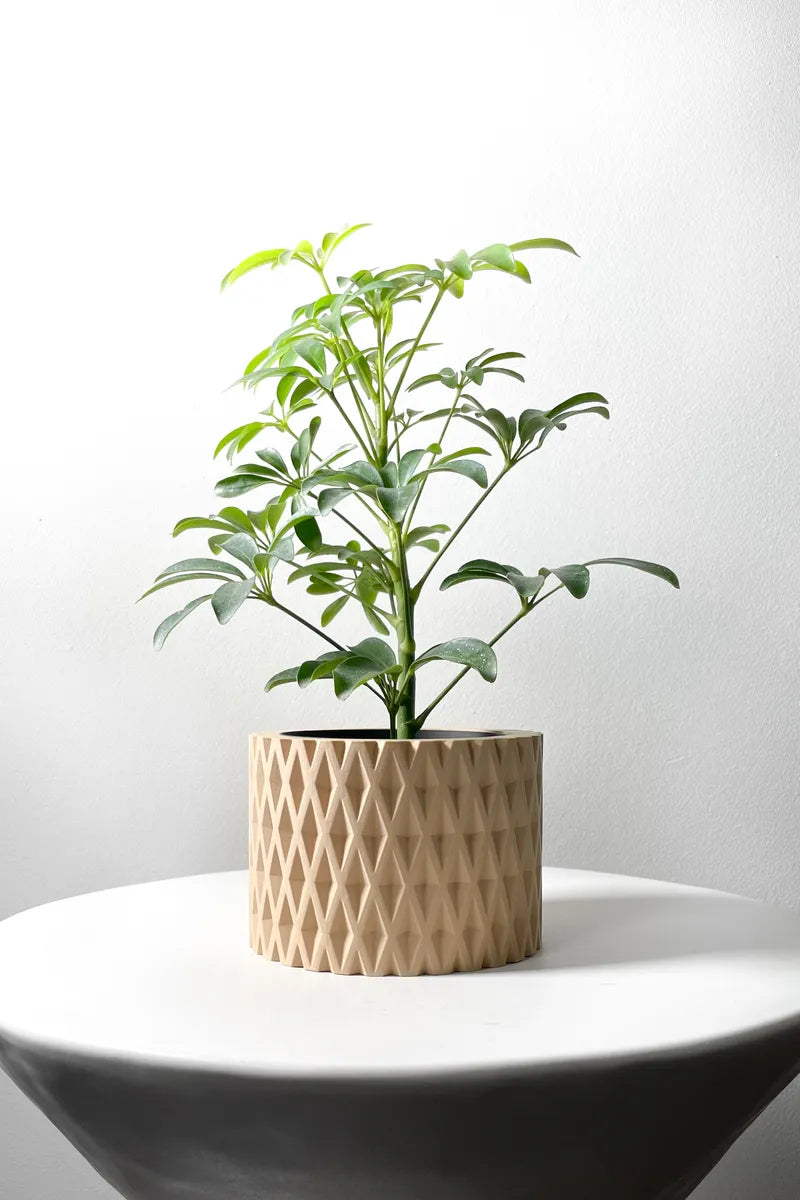 Load image into Gallery viewer, The Grivan Planter Pot with Drainage Tray | Modern and Unique Home Decor for Plants and Succulents
