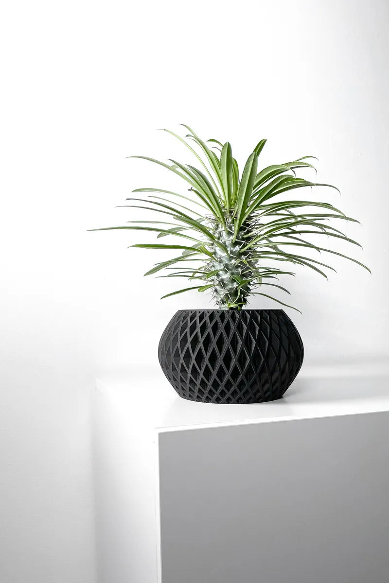 Load image into Gallery viewer, The Gisar Planter Pot with Drainage Tray | Modern and Unique Home Decor for Plants and Succulents
