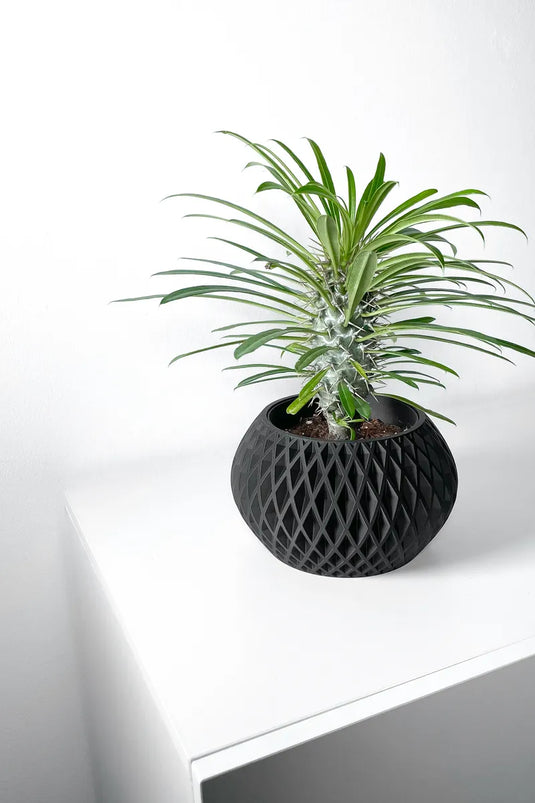 The Gisar Planter Pot with Drainage Tray | Modern and Unique Home Decor for Plants and Succulents