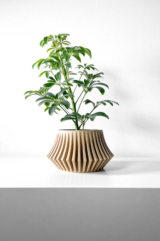 The Jasen Planter Pot with Drainage Tray | Modern and Unique Home Decor for Plants and Succulents