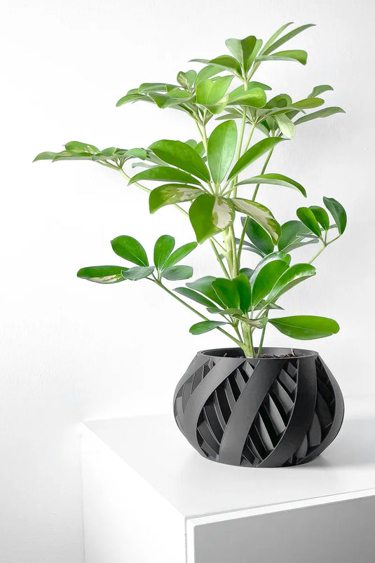 The Silvo Planter Pot with Drainage Tray | Modern and Unique Home Decor for Plants and Succulents