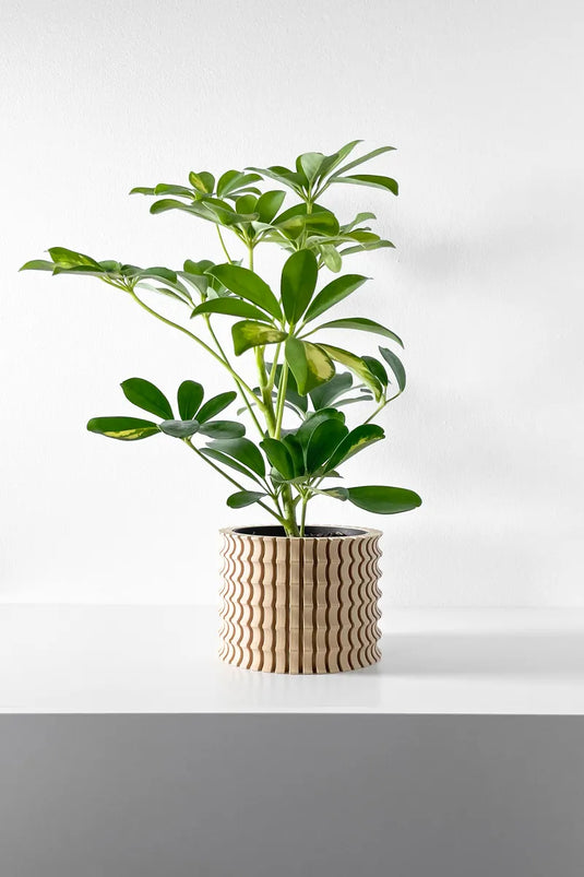 The Tulam Planter Pot with Drainage Tray | Modern and Unique Home Decor for Plants and Succulents