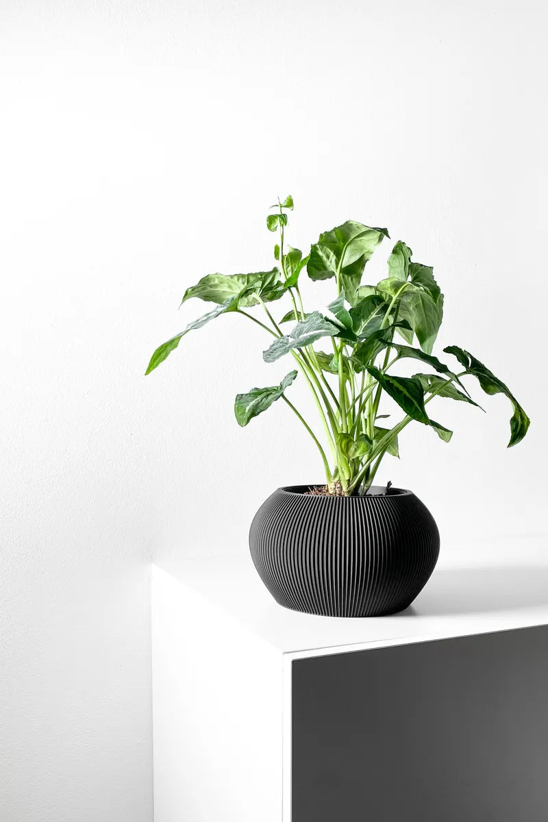 Load image into Gallery viewer, The Melfi Planter Pot with Drainage Tray | Modern and Unique Home Decor for Plants and Succulents
