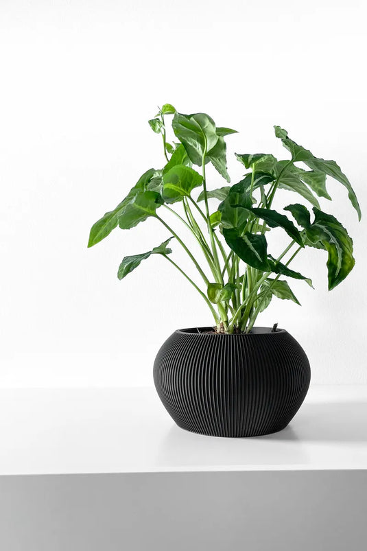 The Melfi Planter Pot with Drainage Tray | Modern and Unique Home Decor for Plants and Succulents