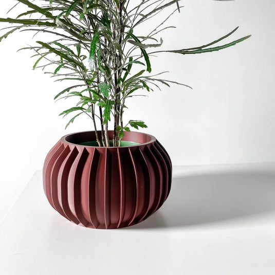 The Sora Planter Pot with Drainage Tray | Modern and Unique Home Decor for Plants and Succulents