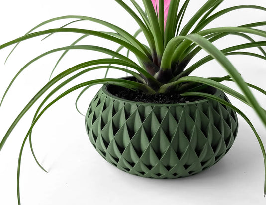 The Cinor Planter Pot with Drainage Tray | Modern and Unique Home Decor for Plants and Succulents